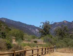 Spring Hike with Jacqui Irwin, and Lunch @ Zuma Canyon Trailhead